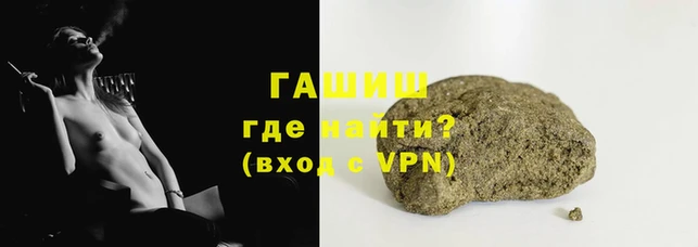 гидра Белокуриха