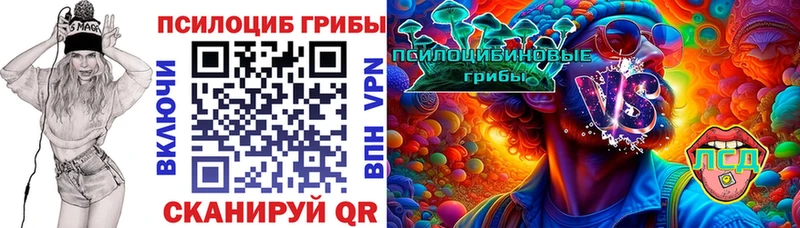 Галлюциногенные грибы Magic Shrooms где можно купить Обь